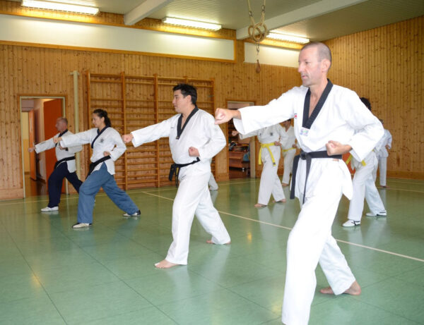 ZOOM Trainingsstunde Taekwondo